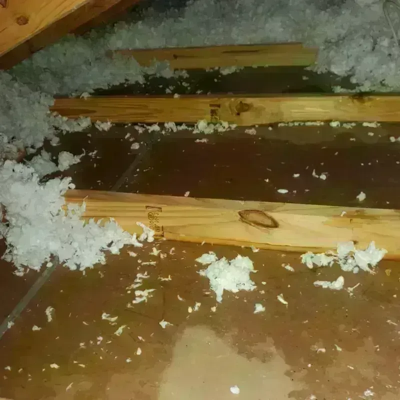 Attic Water Damage in Dallas County, MO