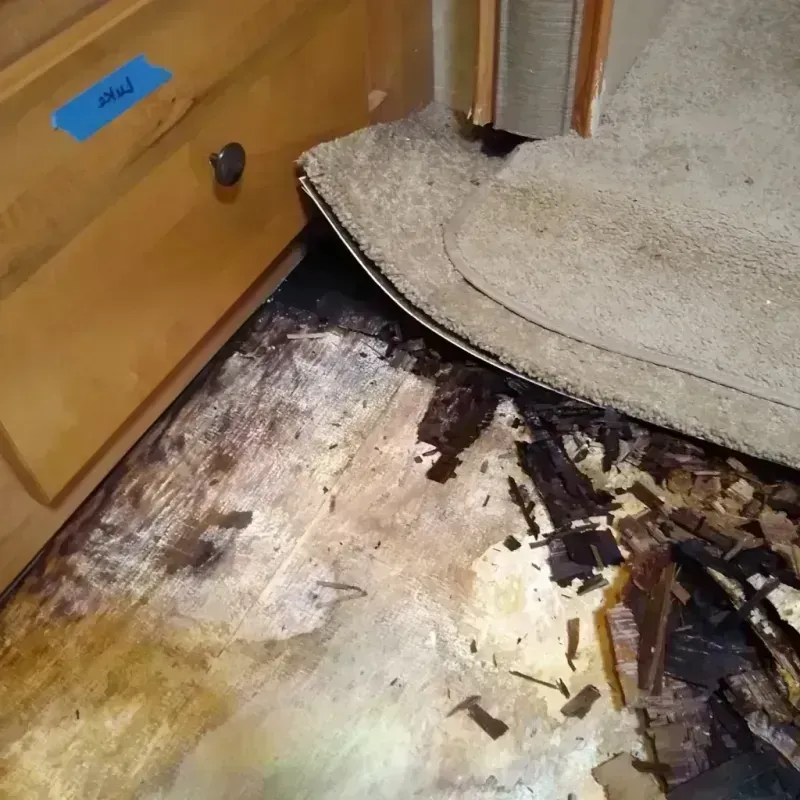 Wood Floor Water Damage in Dallas County, MO